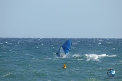 20220917-Estarti-131.JPG