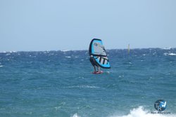20220917-Estarti-205.JPG