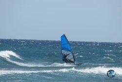 20220917-Estarti-296.JPG