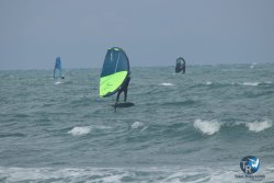 20220923-WIng-marin-008.JPG