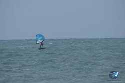 20220923-WIng-marin-009.JPG