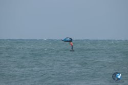 20220923-WIng-marin-010.JPG