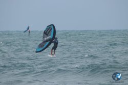 20220923-WIng-marin-011.JPG