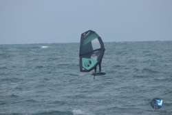 20220923-WIng-marin-018.JPG