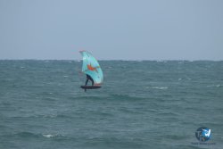 20220923-WIng-marin-021.JPG
