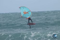20220923-WIng-marin-027.JPG