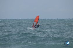 20220923-WIng-marin-030.JPG