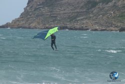 20220923-WIng-marin-033.JPG