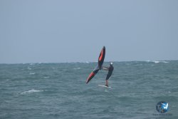 20220923-WIng-marin-040.JPG