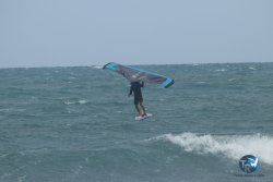 20220923-WIng-marin-052.JPG