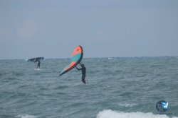 20220923-WIng-marin-057.JPG