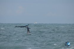 20220923-WIng-marin-058.JPG