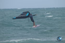 20220923-WIng-marin-067.JPG