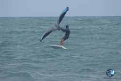 20220923-WIng-marin-069.JPG