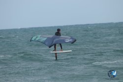 20220923-WIng-marin-080.JPG