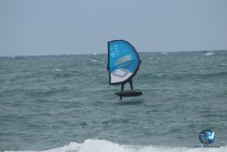 20220923-WIng-marin-102.JPG