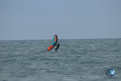 20220923-WIng-marin-107.JPG