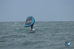20220923-WIng-marin-109.JPG