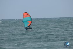 20220923-WIng-marin-113.JPG