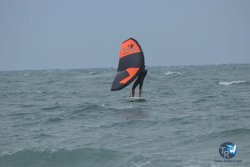 20220923-WIng-marin-121.JPG
