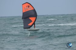 20220923-WIng-marin-122.JPG