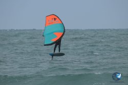 20220923-WIng-marin-130.JPG