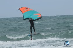 20220923-WIng-marin-133.JPG