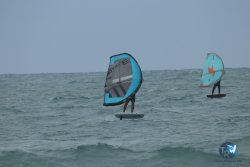 20220923-WIng-marin-138.JPG