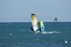 20220925-wing-franqui-010.JPG