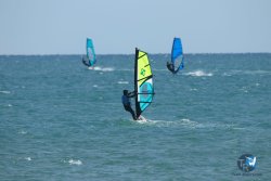 20220925-wing-franqui-026.JPG