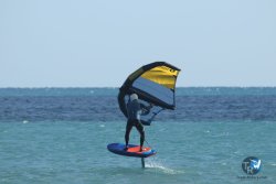 20220925-wing-franqui-030.JPG