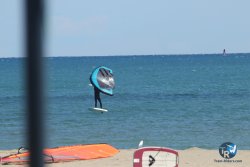 20220925-wing-franqui-032.JPG
