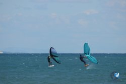 20220925-wing-franqui-039.JPG