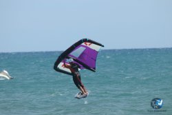 20220925-wing-franqui-043.JPG