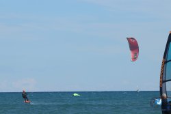 20220925-wing-franqui-169.JPG