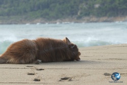 20220814-Franqui-049.JPG