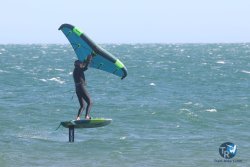 20221105-Franqui--005.JPG