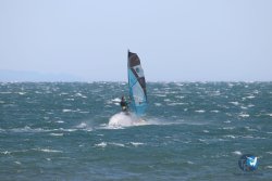 20221105-Franqui--007.JPG