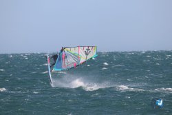 20221105-Franqui--017.JPG