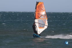20221105-Franqui--019.JPG