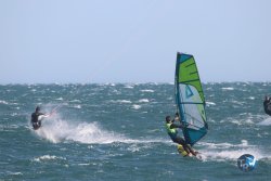 20221105-Franqui--027.JPG