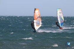 20221105-Franqui--032.JPG