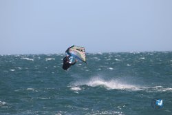 20221105-Franqui--035.JPG