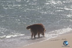 20221105-Franqui--043.JPG