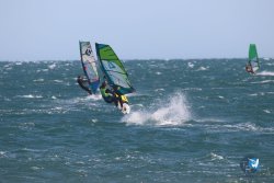 20221105-Franqui--052.JPG