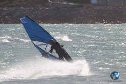 20221105-Franqui--055.JPG