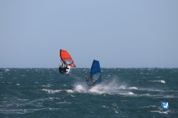20221105-Franqui--073.JPG