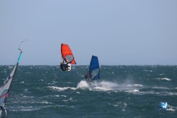 20221105-Franqui--074.JPG