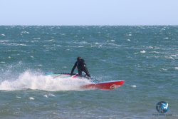 20221105-Franqui--075.JPG