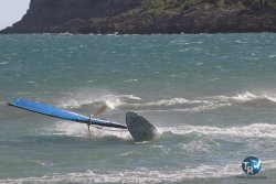 20221105-Franqui--087.JPG